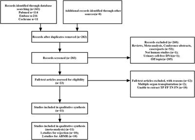Diagnostic performance of GcfDNA in kidney allograft rejection: a meta-analysis